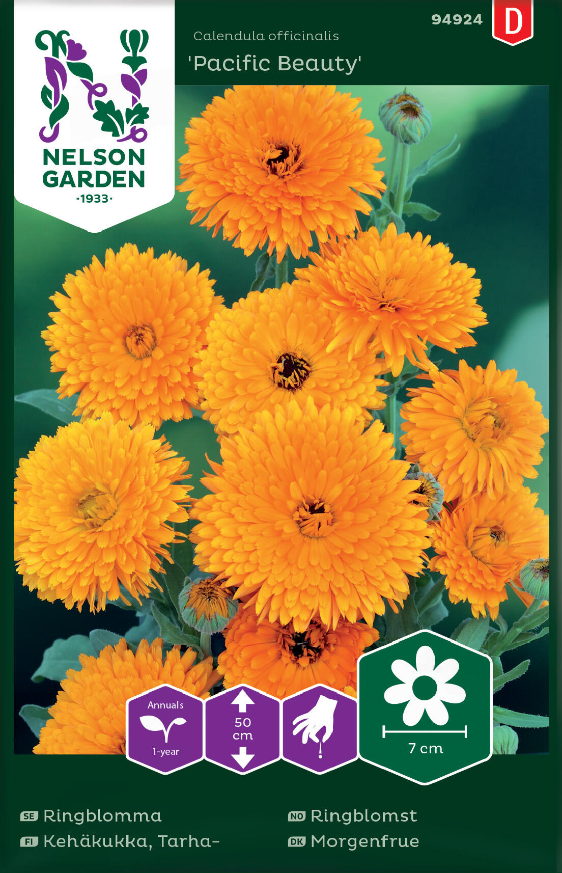 Ringblomma 'Pacific Beauty'